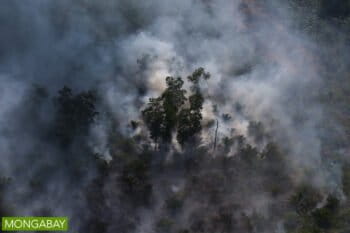 Peat fire in Indonesia. Photo by Rhett A. Butler.