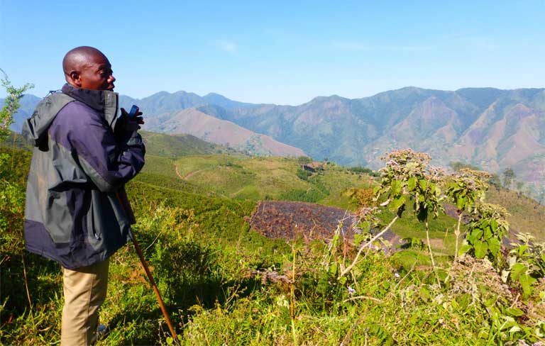 The traditional chief of Nirinja, Democratic Republic of Congo, points out where forest once stood. A large part of the local community forest was destroyed by civil war, but the traditional chiefs are dedicated to both reforestation and natural regeneration to expand the forest and the habitat of Grauer's gorillas. Photo by Sarah Tolbert