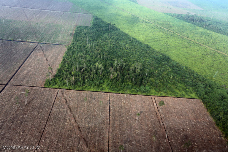 Deforestation for pulp and paper production in Sumatra. Photo by Rhett A. Butler.