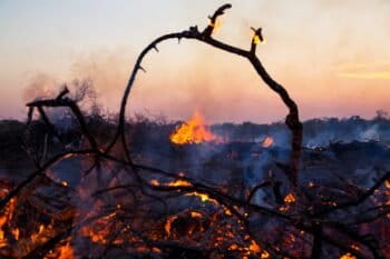 Logs burn at sunset in Bolivia. Photo by Jim Wickens/Ecostorm