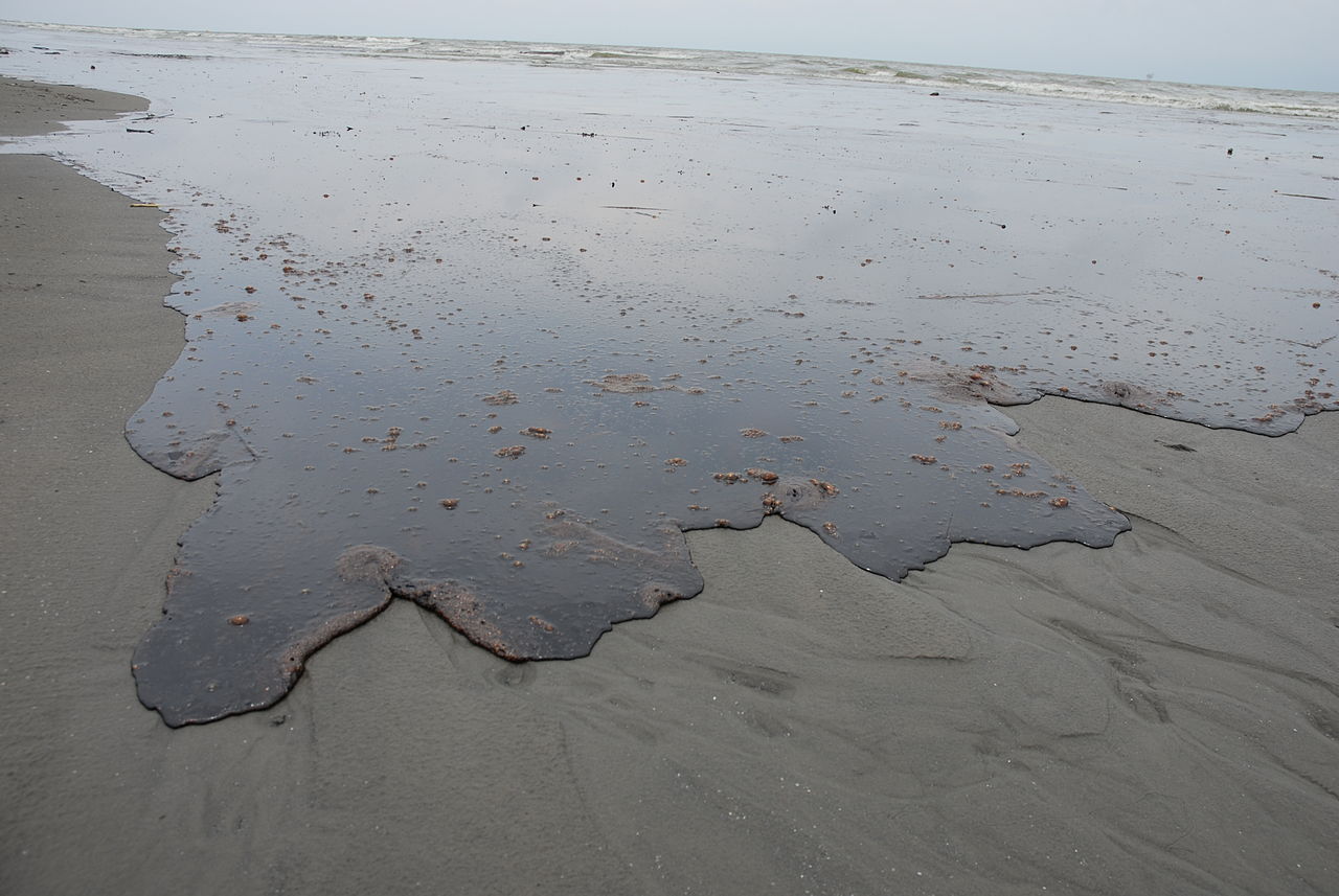 photo of BP’s Deepwater Horizon oil spill caused $17.2 billion in environmental damage to the Gulf of Mexico image