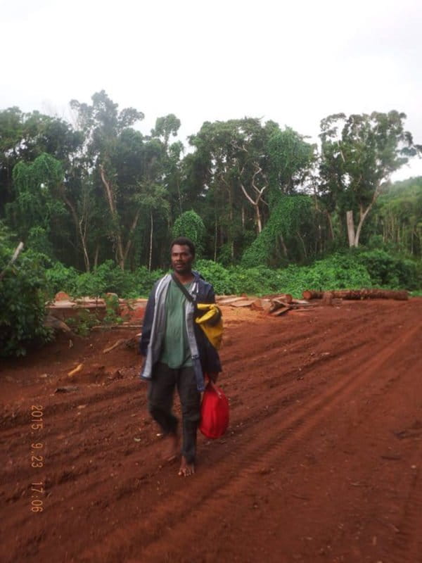 Delicate Solomon Island ecosystem in danger of heavy logging
