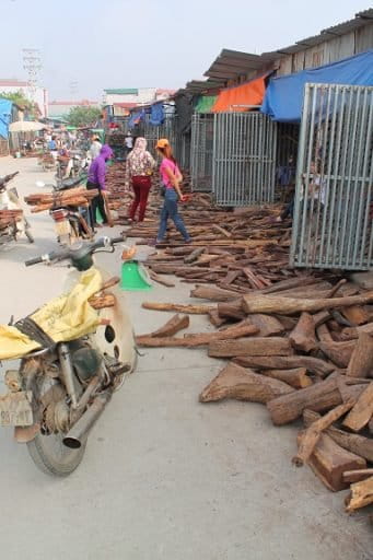 Piles of rosewood litter the ground in Đồng Kỳ, Vietnam late last year. Photo by Michael Tatarski for Mongabay.