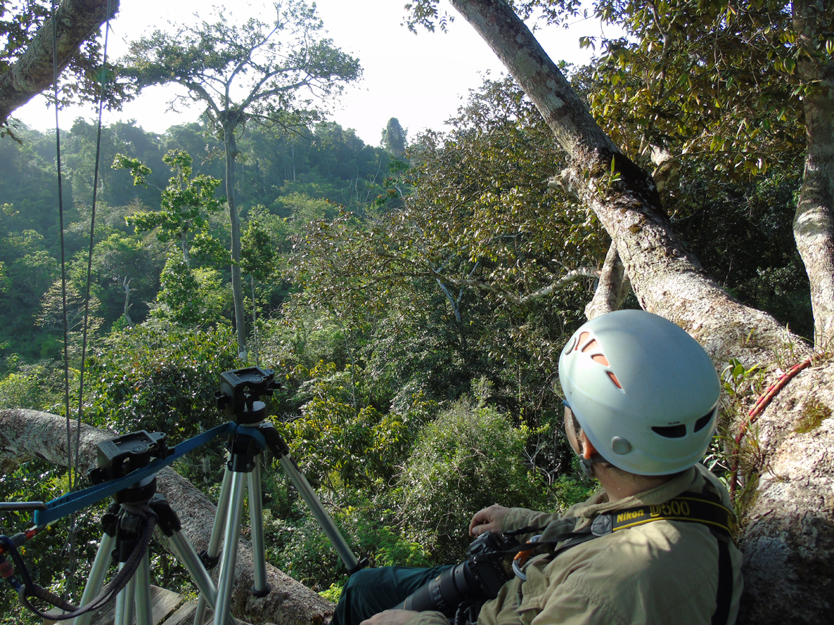 Tourist looking at nest in Venezuela. Photo courtesy of Bruno Moraes.