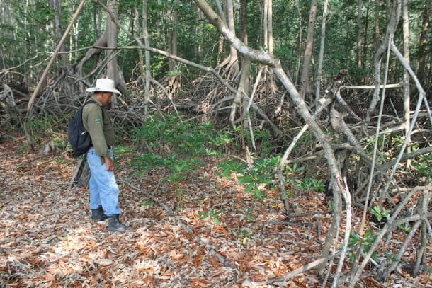 Communities band together to protect El Salvador's last ...