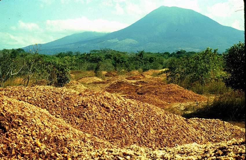 The land immediately after it was loaded with orange waste in the late 1990s.