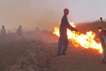 Each dry season, members of the community group VOI Sohisika try to keep brush fires at bay with controlled burns that run along firebreaks on the perimeter of the preserve. Photo courtesy of Missouri Botanical Garden.