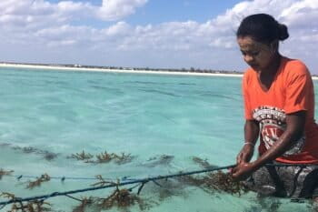 Sanazy, from Beheloke Haut, says “hunger” pushed her to start farming seaweed three years ago: she earns about $20 from the crop during her best months. Photo by Rowan Moore Gerety for Mongabay.