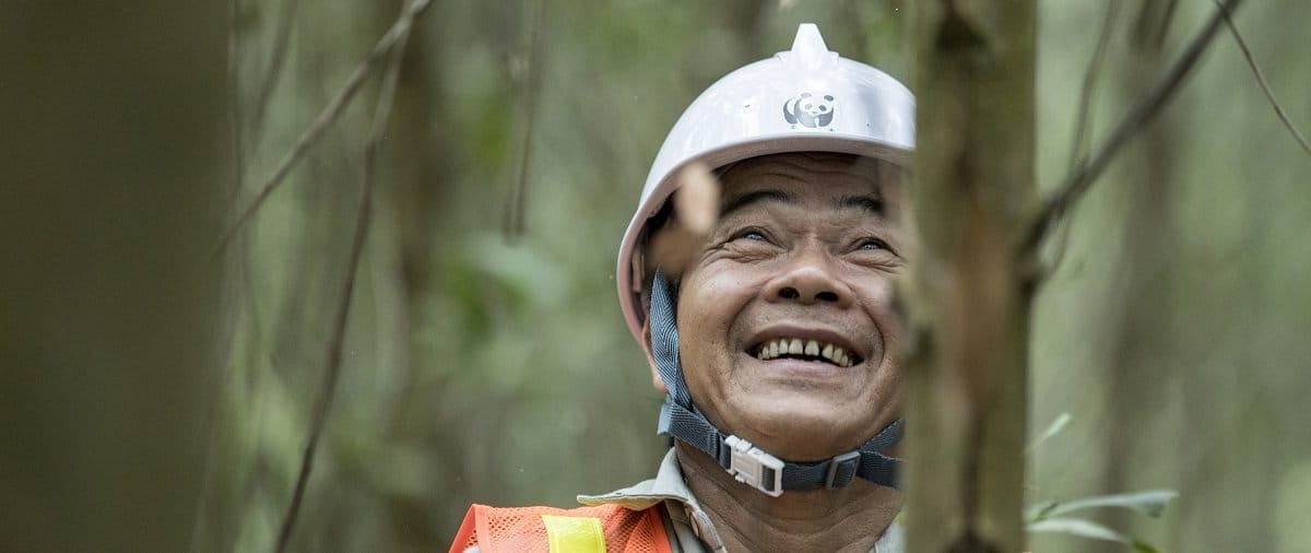 Smallholder Ho Da The at work in his FSC-certified acacia plantation in Phu Loc district, Thua Thien Hue. Photo by James Morgan/WWF with permission.