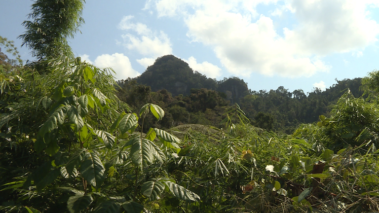 Marojejy National Park. Photo by Dan Ashby and Lucy Taylor for Mongabay.