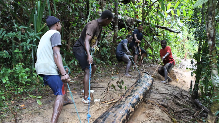 Rosewood loggers in Madagascar (archival). Photo courtesy of Toby Smith / EIA / GW.