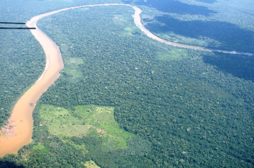 Western Amazon rainforest in Madre de Dios, Peru with small clearings that typically begin near rivers.