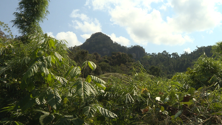 Marojejy National Park, one of the country’s reknowned protected areas. Photo by Dan Ashby and Lucy Taylor for Mongabay. 