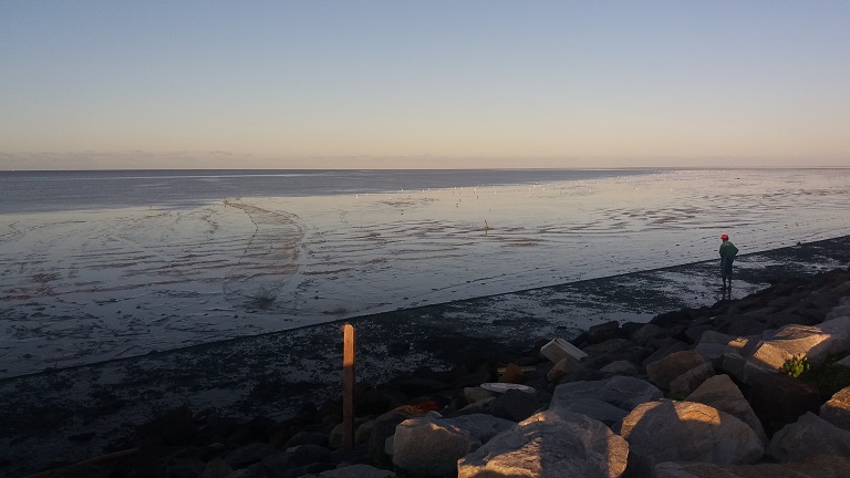 The Guyanese coast in Ogle. Photo by Carinya Sharples. 