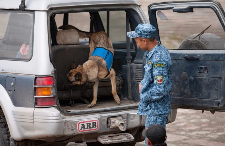 Inspecting a car in Kyrgyzstan for wildlife skins & parts.