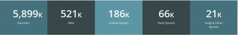 Statistics on the size and distribution of DNA data from the BOLD reference library and database
