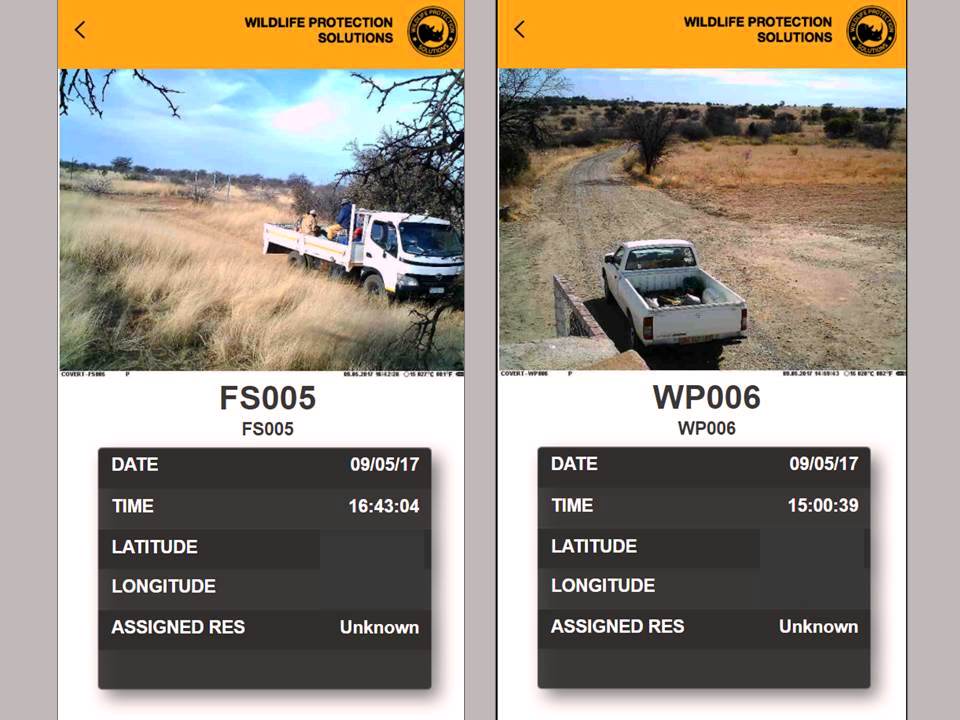 A pair of screenshots from the wpsWatch app show how the camera traps assist management with human activity.  The photo on the left of employees traveling within a nature reserve shows how managers can directly monitor staff locations and activity when needed. The photo on the right shows activity at a gate, as part of that reserve's managers effort to monitor incoming and outgoing traffic. 