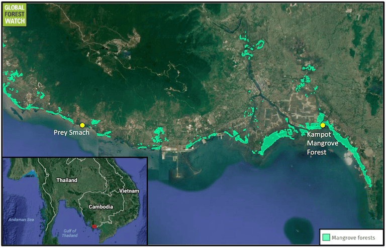 Map shows the roughly 25-kilometer (15.5 mile) stretch of Cambodian coastline between Kampot Mangrove Forest and the fishing village of Prey Smach where at least six large scale developments are planned. Mangrove forests are shown in bright green. Main map courtesy of Global Mangrove Watch; inset map courtesy of Google Maps.