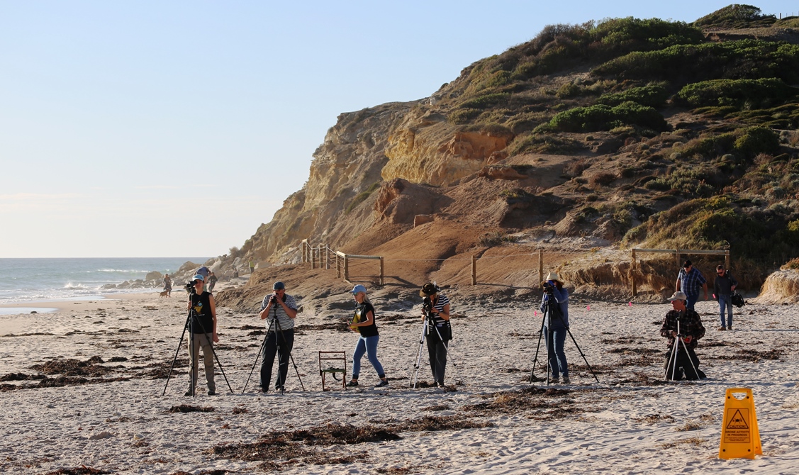 Experienced ground counters observe and make their estimates of the size of the "tern" colonies. 