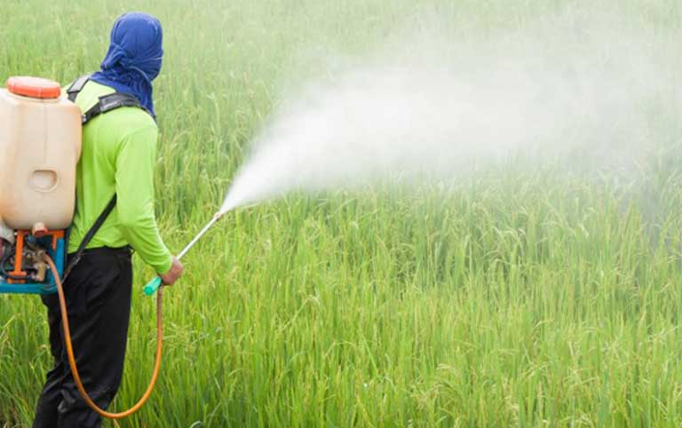 Brazil&#39;s fundamental pesticide law under attack