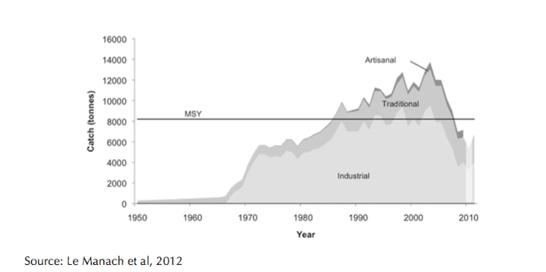 Madagascar landings of shrimp since 1950 compared to the maximum sustainable yield (MSY), as calculated in 2009. The shrimp catch underwent a sharp crash in the mid-2000s from which it has yet to recover. Chart courtesy of Frederic Le Manach.