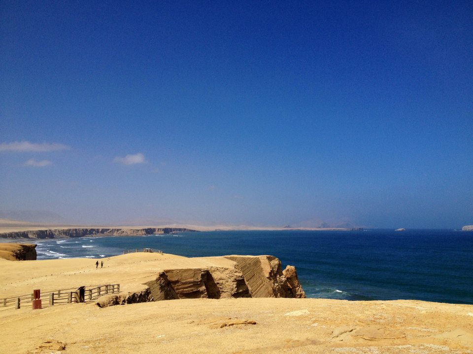 Paracas National Reserve Photo by Alexa Vélez. 