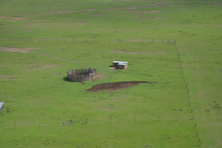 The key threat to the Maasai Mara ecosystem comes from land fragmentation, particularly the fencing off of individual plots of land, which has spread rapidly in recent years. Photo Credit: Nicholas Lapham