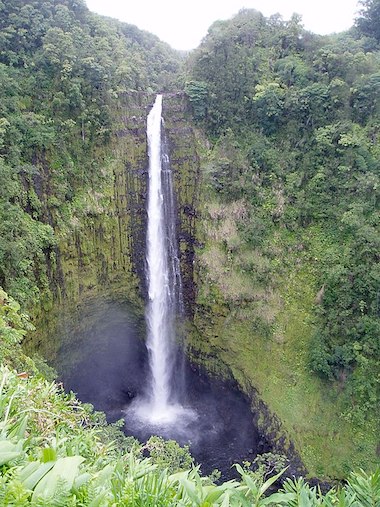 Akaka Falls on the island of Hawaii, which the tiny ‘o’opu ‘alamo’o climbs to spawn, using its sucker-like mouth and another suction disk of its fused pectoral fins. Photo by Richard J Kruse via Wikimedia Commons (CC BY-SA 3.0).