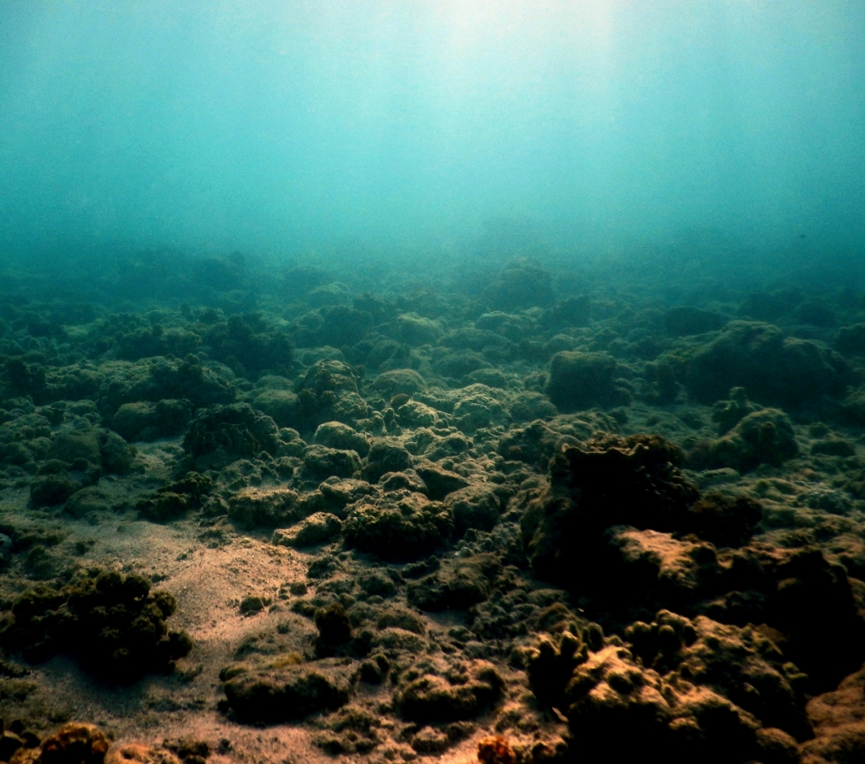 A degraded reef coral reef at Lizard Island, Northern Great Barrier Reef, Australia. The area was heavily degraded over the last five years by severe coral bleaching and tropical cyclones, both of which are increasing in frequency and severity worldwide as sea temperatures rise. 