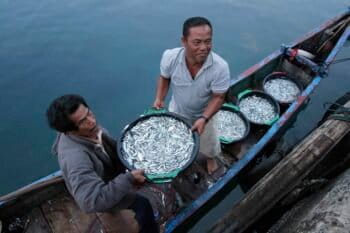 Artisanal Indonesian fishermen are expected to benefit from the fisheries bill proposed by the ministry. Image courtesy of Ministry of Marine and Fisheries.