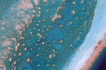 Planet satellite image of coral off Belize's Lighthouse Reef. Taken March 28, 2018.