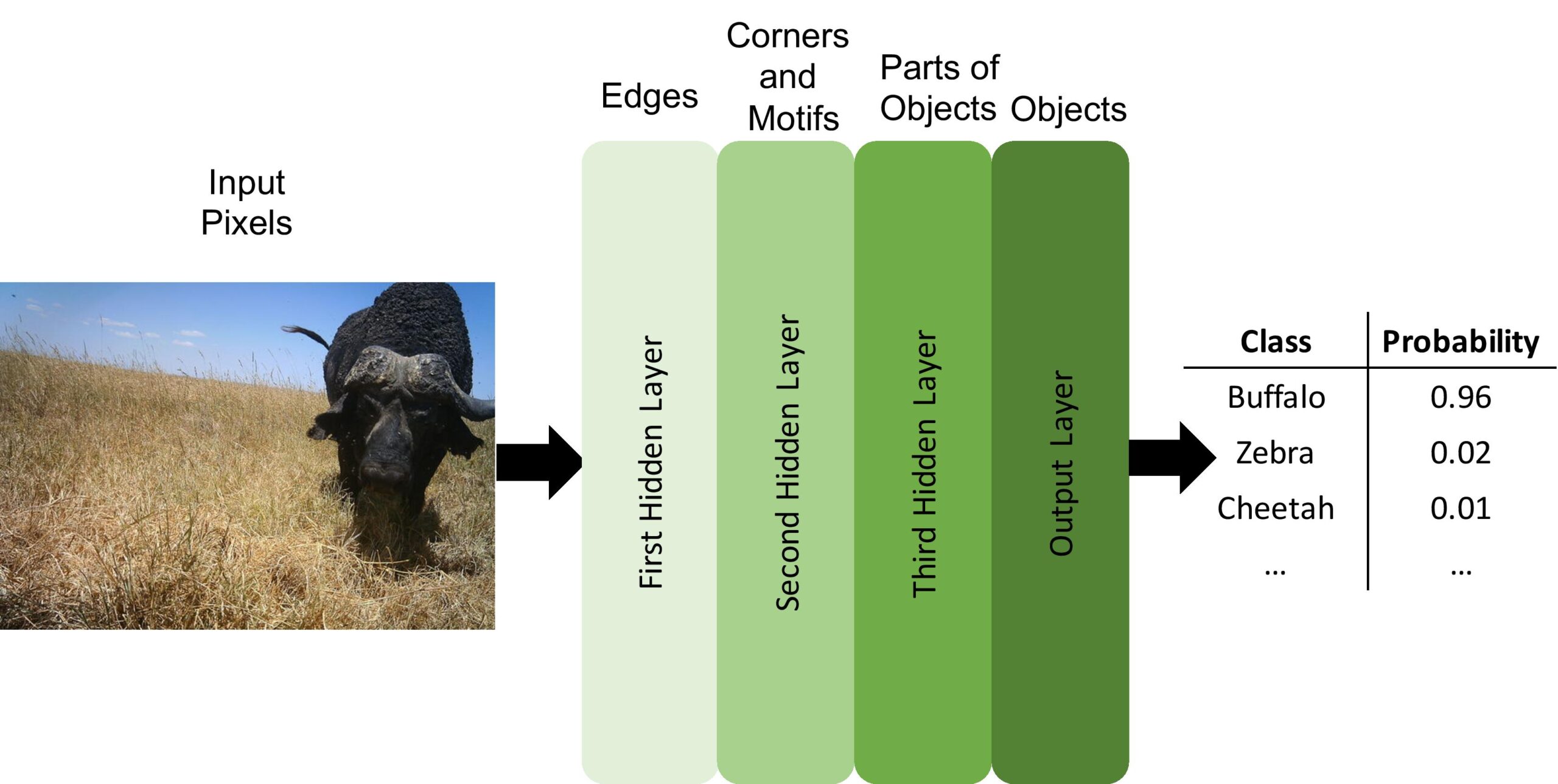 Neural networks recognize numerical patterns. Deep neural networks have several layers of abstraction that tend to gradually convert raw data into more abstract concepts. For example, raw pixels at the input layer are first processed to detect edges (first hidden layer), then corners and textures (second hidden layer), then object parts (third hidden layer), and so on if there are more layers, until a final prediction is made by the output layer. The types of features learned at each layer are not human-specified, but emerge automatically as the network learns how to solve a given task.