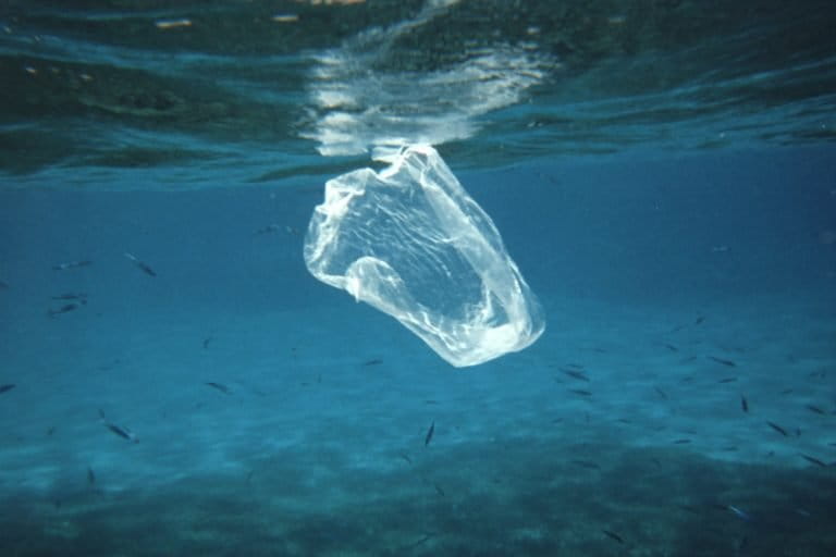 Bali plastic bags being used to show what type of shopper you are