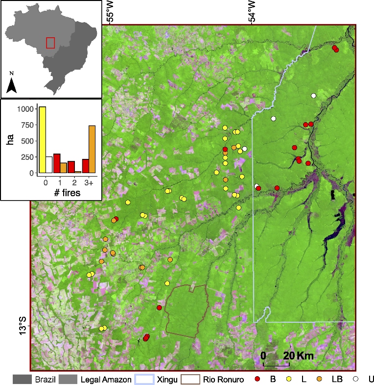 Map of degraded and intact forest stands in the Brazilian state of Mato Grosso, where researchers from University of Maryland and NASA recorded forest degradation from fire and logging via ground-based, satellite and LiDAR data. Forest appears green, deforested areas appear pink, and circles indicate the center of forest stands with LiDAR coverage (see key for color code; U—undisturbed; L—logged; LB—logged and burned; B—burned). Figure from Rappaport et al. 2018.