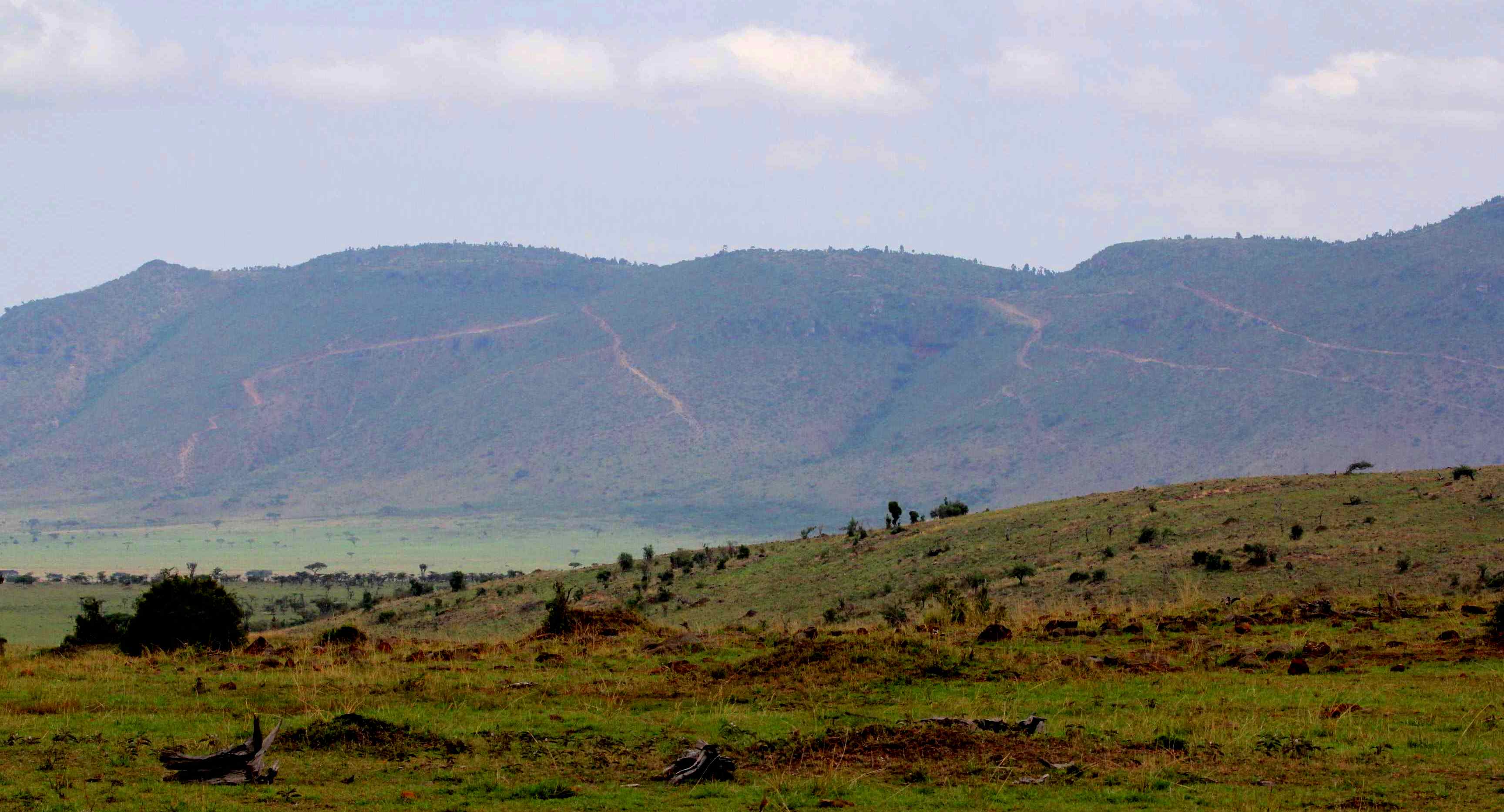 Paths running down an escarpment along the edge of the Mara Triangle in Kenya's Maasai Mara National Reserve indicate where hundreds of bushmeat poachers illegally enter the Reserve to kill wildlife, usually with snares. 