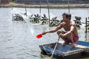 Duong Le feeds shrimp on his intensive shrimp farm in Long An Province, Vietnam. Image by Zoe Osborne for Mongabay.