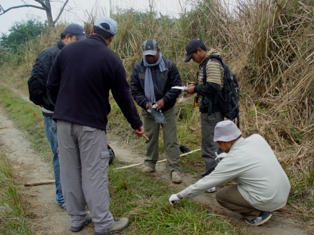 Field biologists collect carnivore fecal samples in search of tiger DNA. Scientists used the samples with viable DNA to create the tiger genetic reference database.