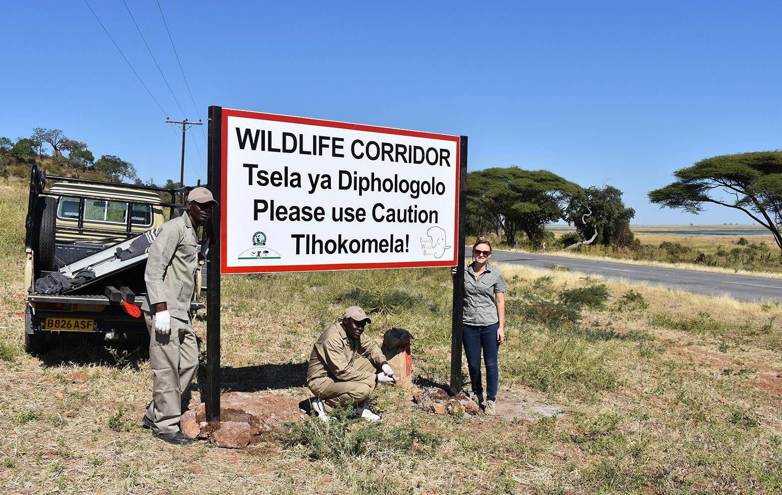 Elephants Without Borders staff installing a sign that cautions the public about a wildlife corridor in Kasane, Botswana. 