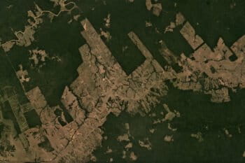 Planet satellite image showing a mosaic of deforestation and rainforest in São Judas Tadeu, Xapuri in the state of Acre, Brazil in August 2018. Courtesy of Planet.