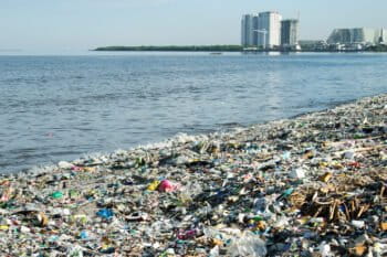 The coast of Freedom Island in Metro Manila teems with trash in this photo taken in 2017. Image courtesy of Greenpeace.