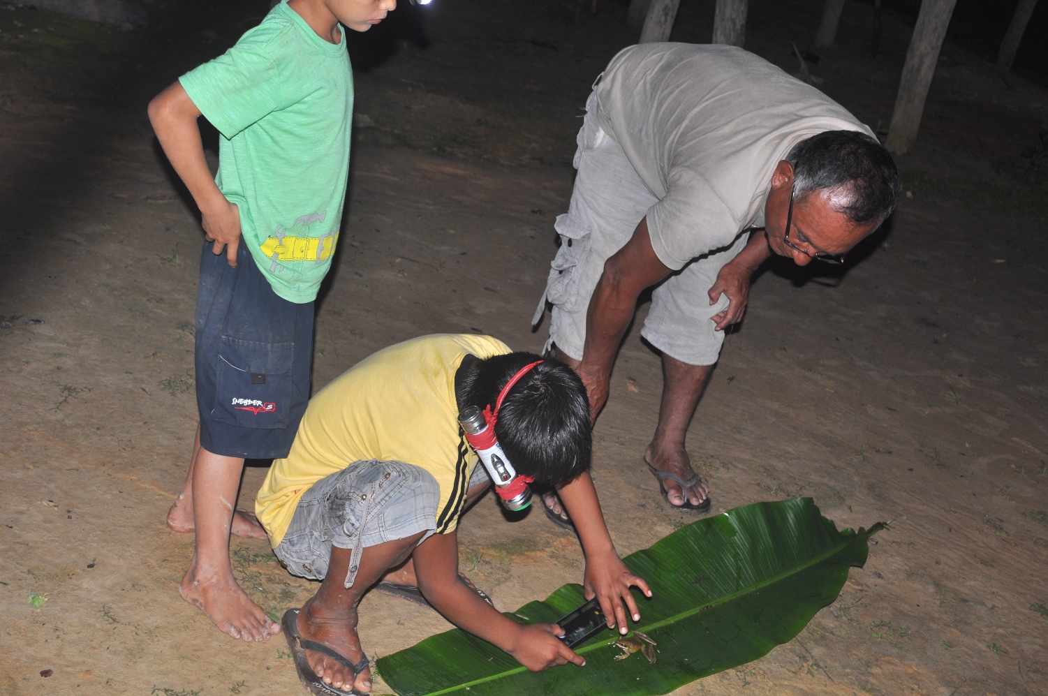 Antonio Jiménez supervising his young teammates on collection and photography of a local frog / toad.