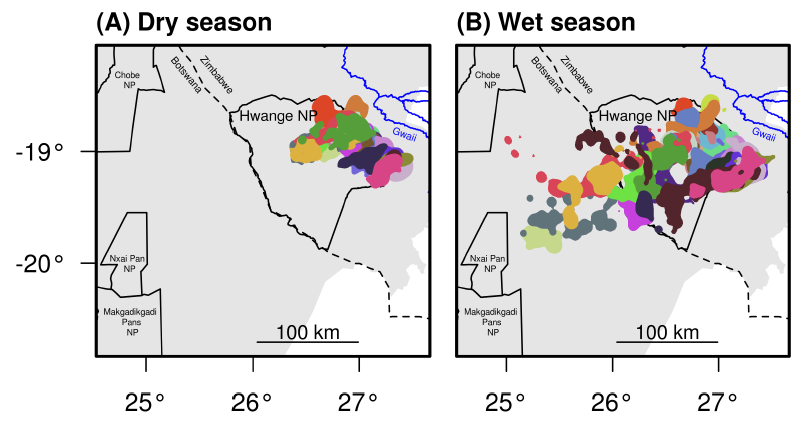 Dry-season and wet-season ranges of elephants tagged in Hwange National Park. Each individual's movements are represented by a different color. The area in grey is within the boundary of the Kavango-Zambezi Transfrontier Conservation Area. Limits of Hwange (in Zimbabwe) and Chobe, Nxai and Makgadikgadi Pans National Parks (in Botswana) are shown.