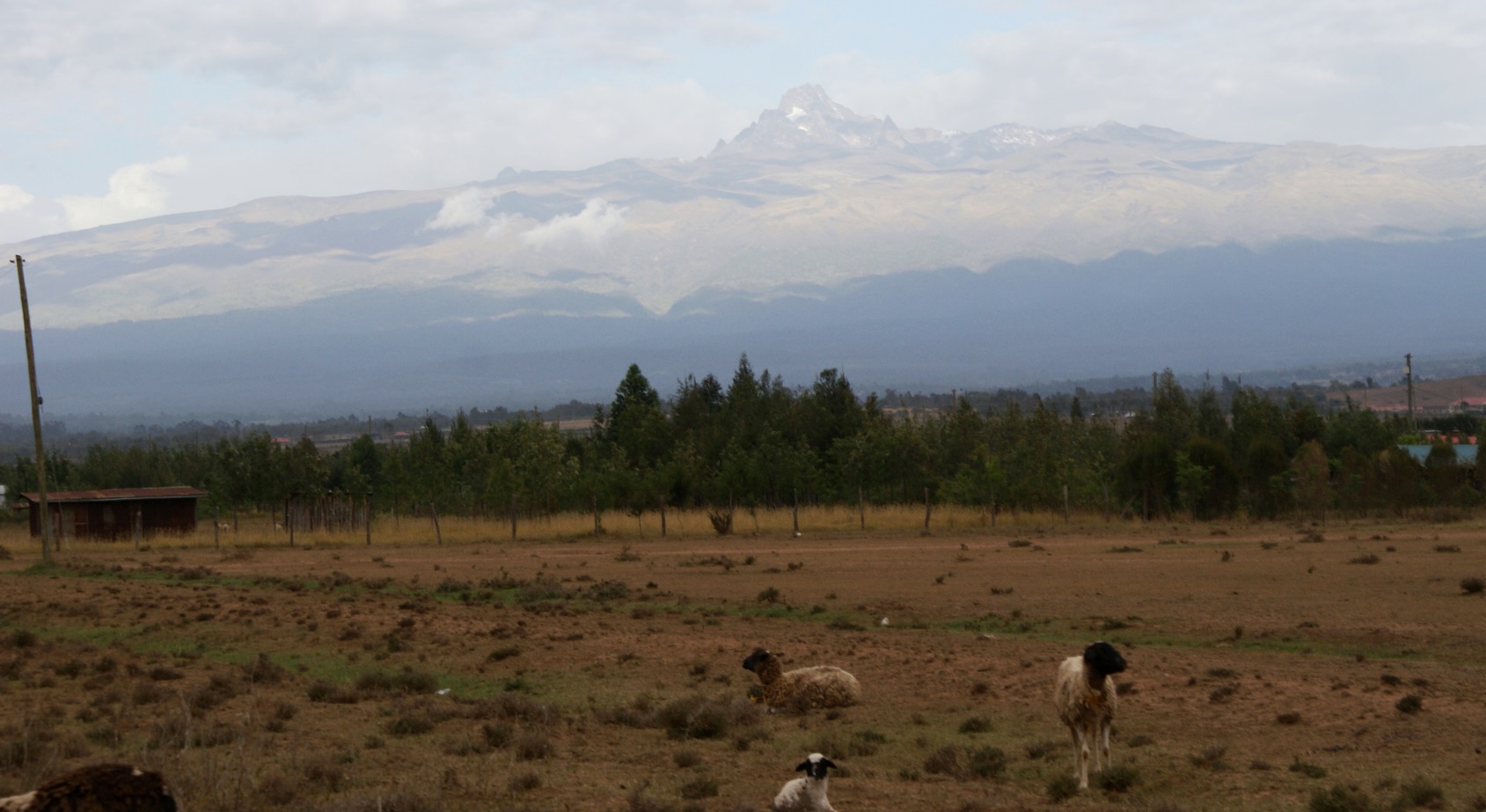 A wide angle view of the leeward side of the Mt. Kenya forest ecosystem. Fire outbreaks on this side of the mountain are common due to prolonged dry spells. 