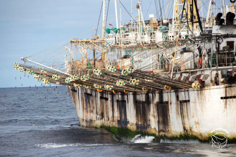 Japanese boats losing squid fishing grounds to N. Korean ships