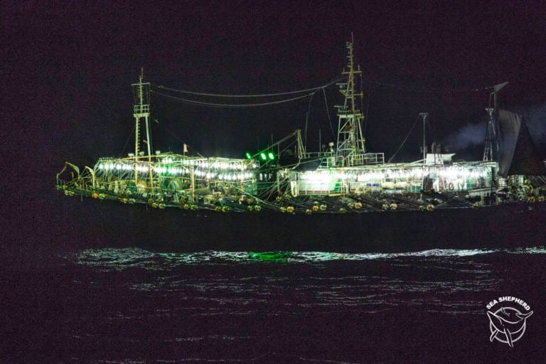 Thousands of ocean fishing boats could be using forced labor – we