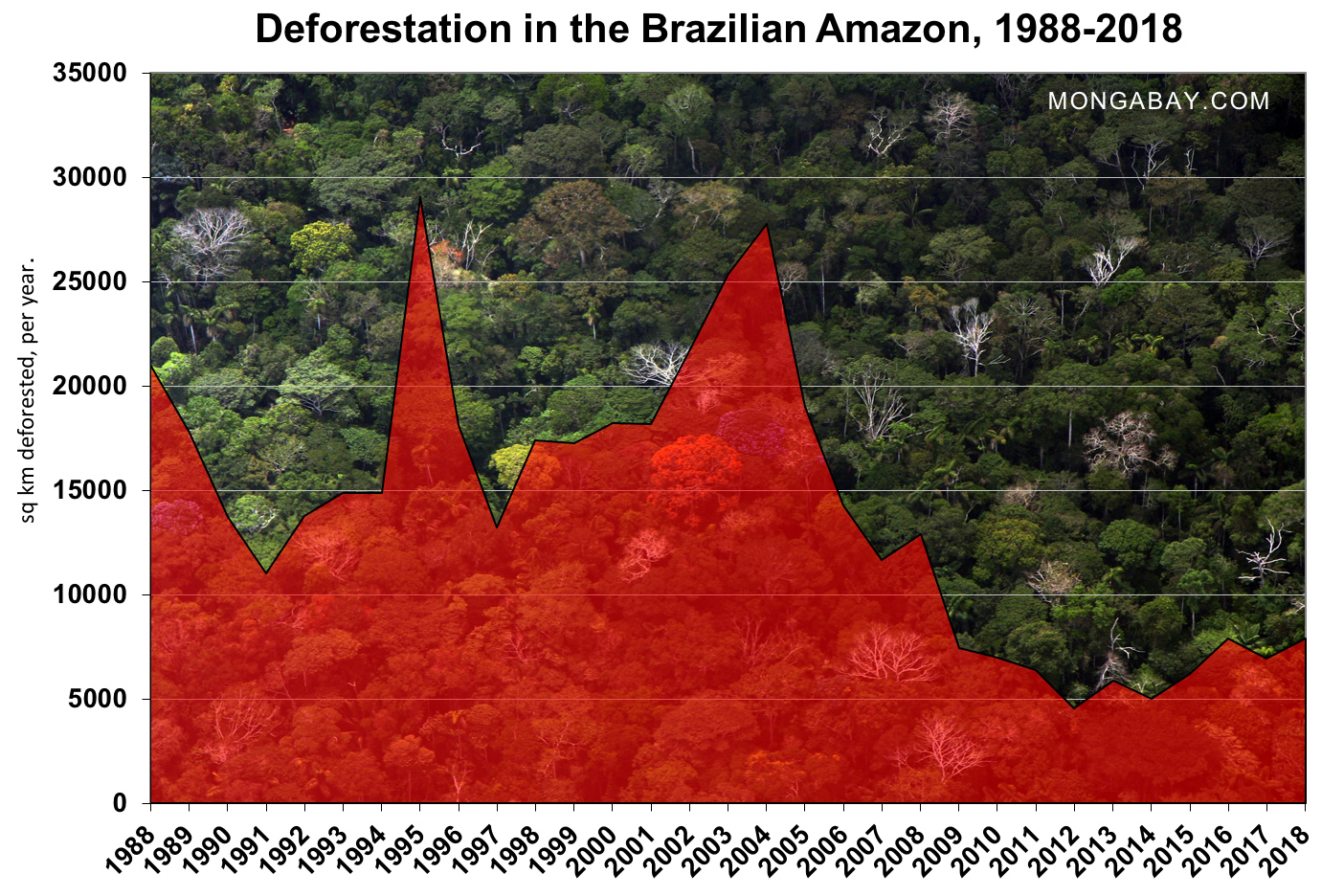 deforestation at highest level in 10 years, says Brazil