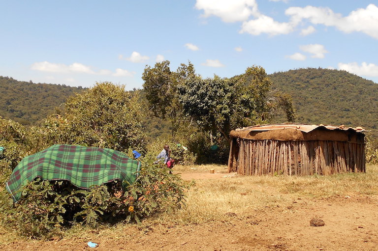 A Yiaku woman outside her house, a traditional structure called a manyatta the Yiaku have adopted from the neighboring Maasai along with many other aspects of Maasai culture. Image by Shadrack Kavilu for Mongabay.