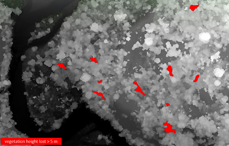 Change detection based on canopy surface model comparison before and after logging. The red areas correspond to a loss of forest height of five or more meters.