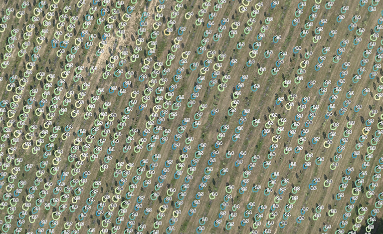 Single tree detection based on the Digital Surface Model. The polygons show the detected tree position and their sizes relate to the canopy size. The polygon’s color correlates with the tree height: blue to green gradient corresponds to an increasing tree height. All values in meter. Click the image for more information.