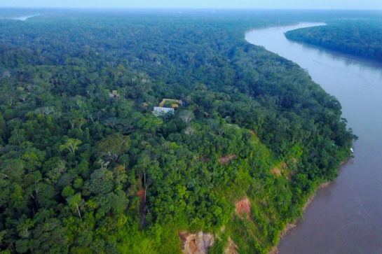 Drone technology allows land managers to monitor their forest concessions, including the Los Amigos Conservation Concession, from above on a regular basis. 